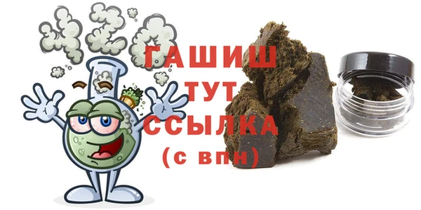 шишки Инта