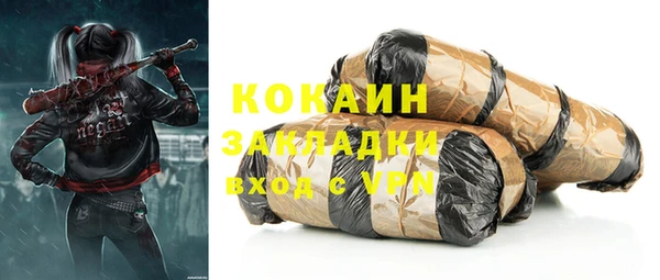 шишки Инта