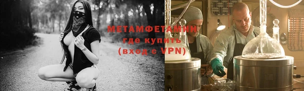 шишки Инта