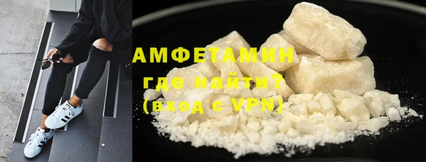 шишки Инта