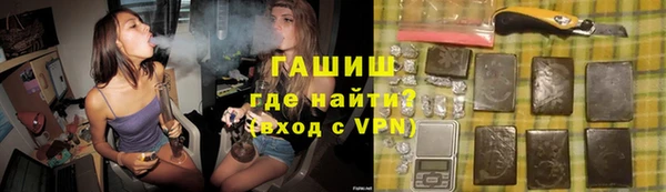 шишки Инта