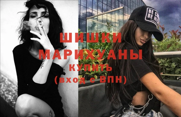 шишки Инта