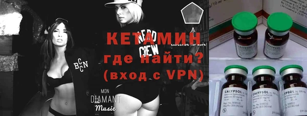 шишки Инта