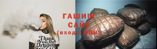 шишки Инта