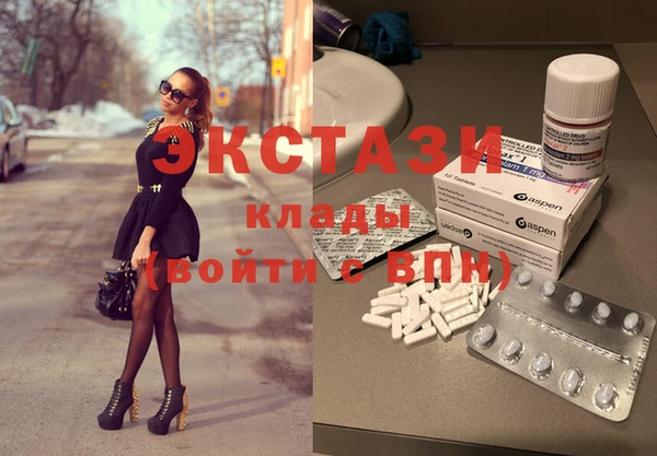 шишки Инта
