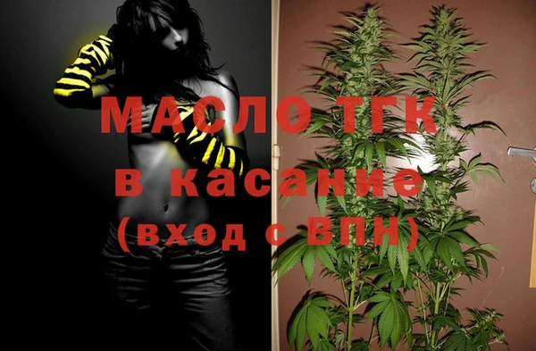 шишки Инта