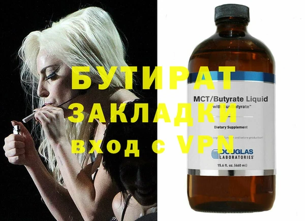 шишки Инта