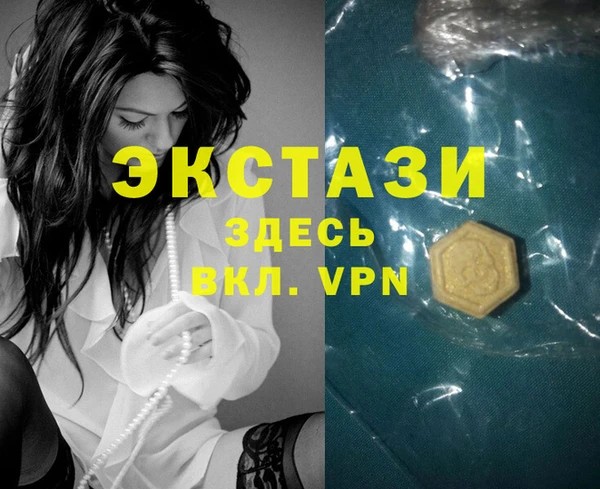 шишки Инта