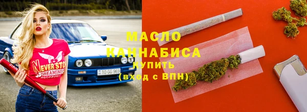 шишки Инта